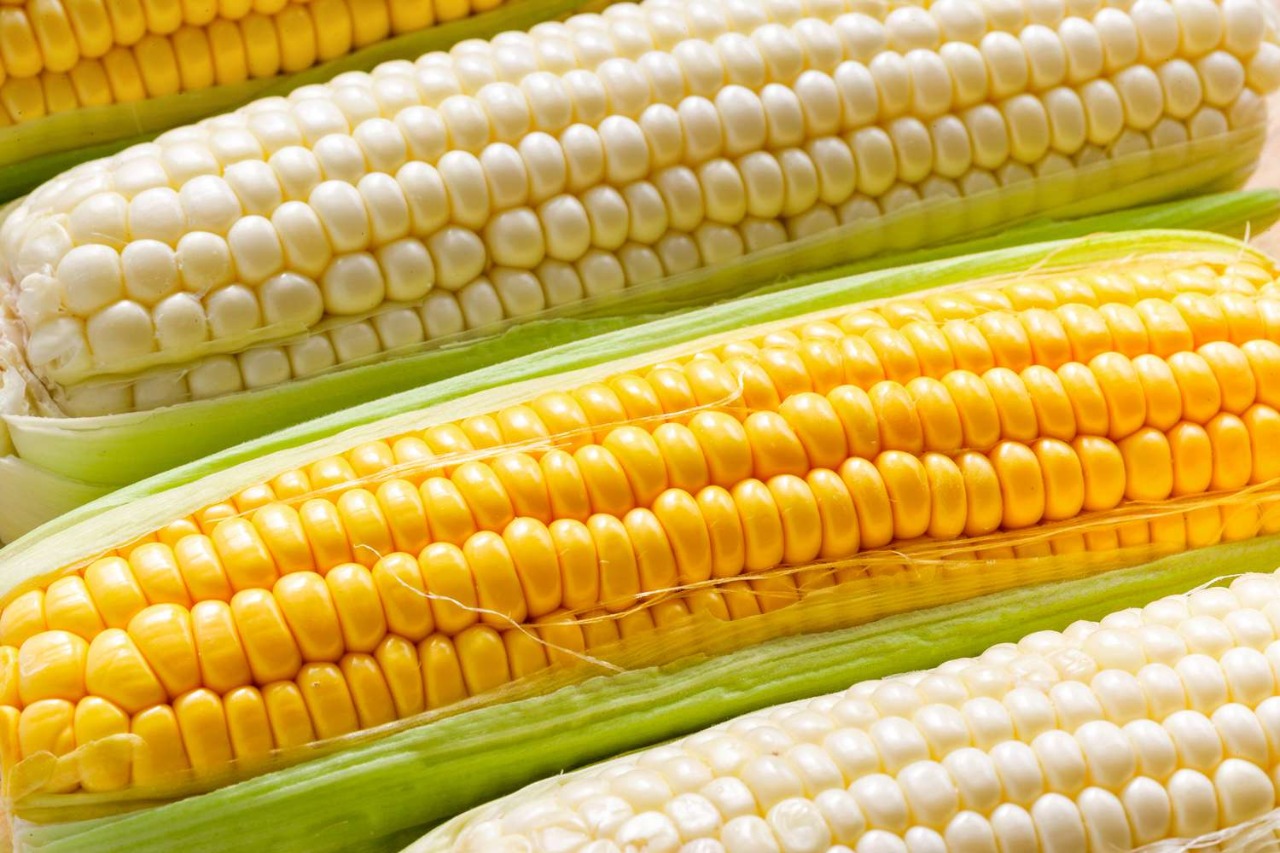 Yellow & White maize